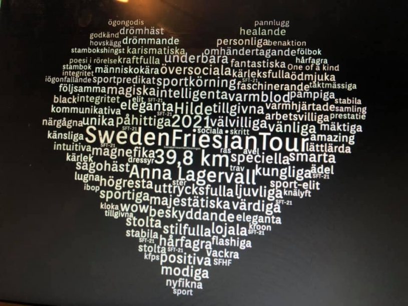 Vinnare Sweden Friesian Tour SFT