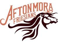 Aftonmora Friesians