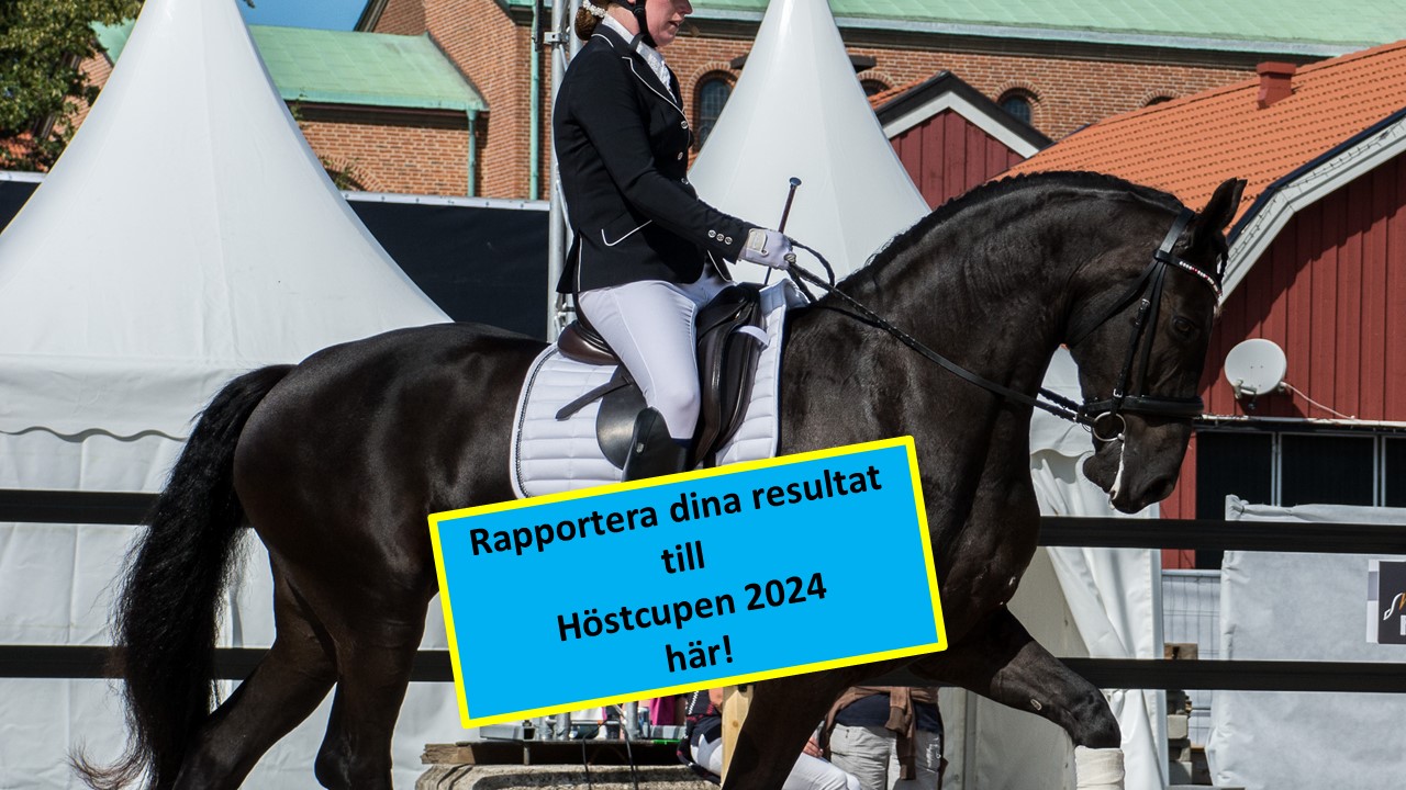 SFHF- Höstcup Resultat 2024