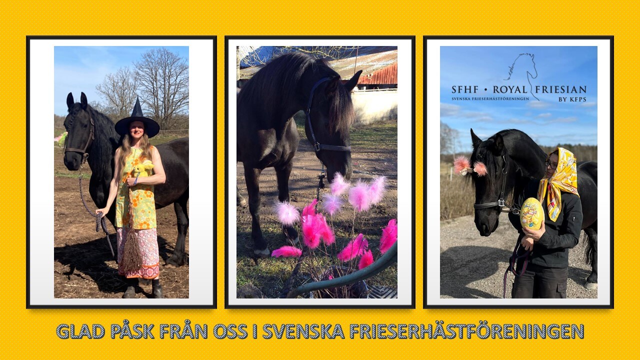 SFHF- Påskbild 2026