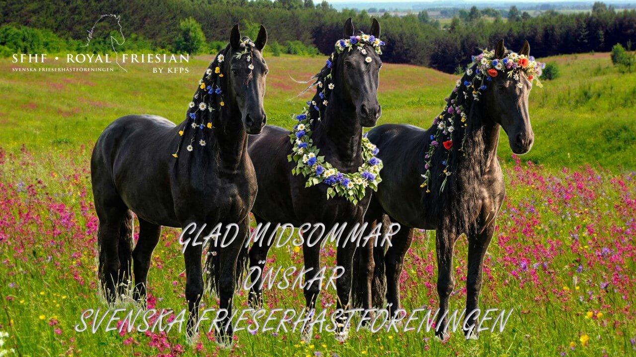 SFHF- Midsommarbild 2026